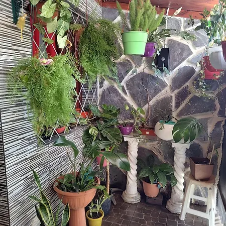 Apartamento Petit Departamento Jujuy San Salvador de Jujuy Exterior foto